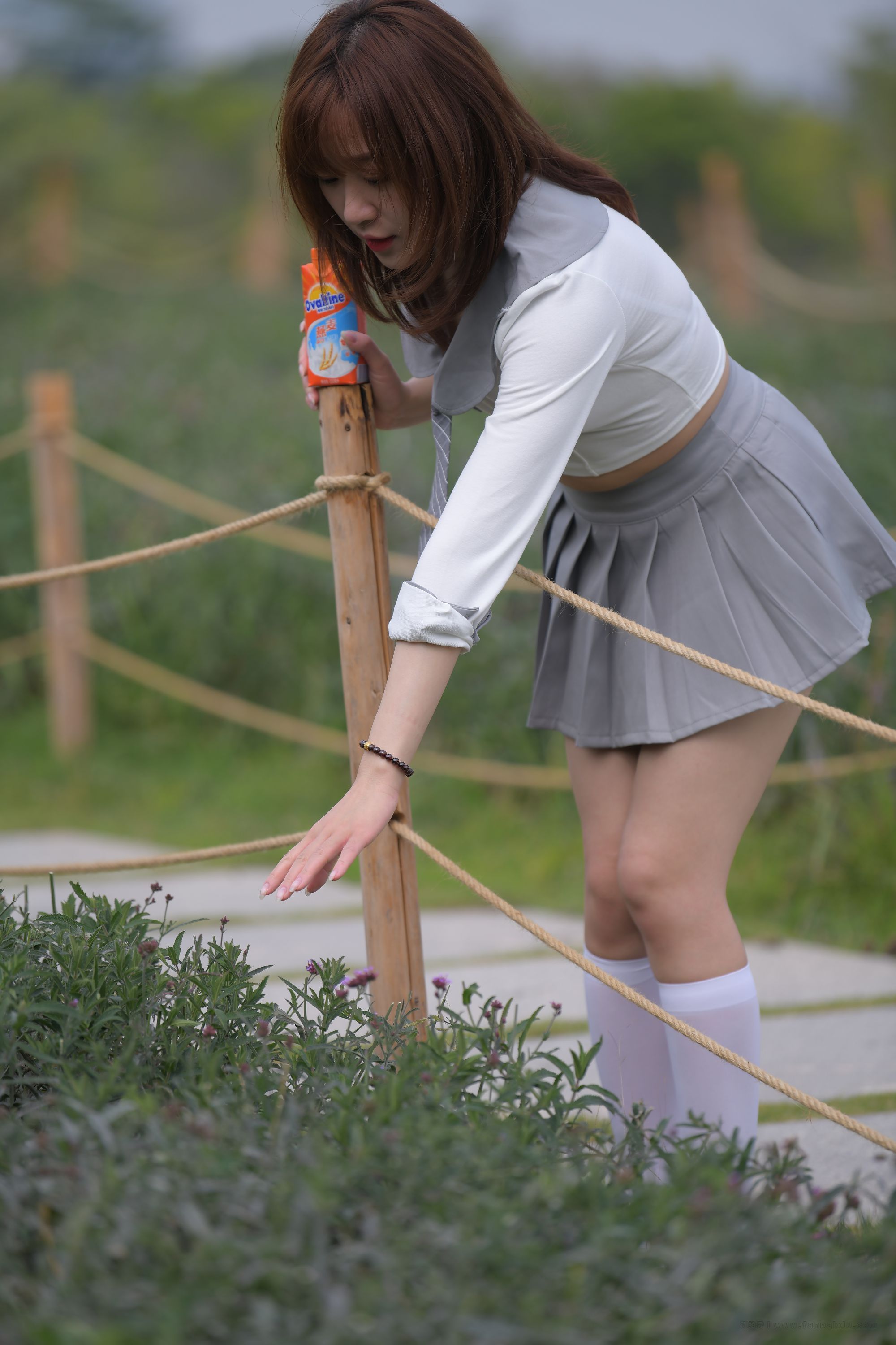 541.【红石摄影作品】未闻花名插图2